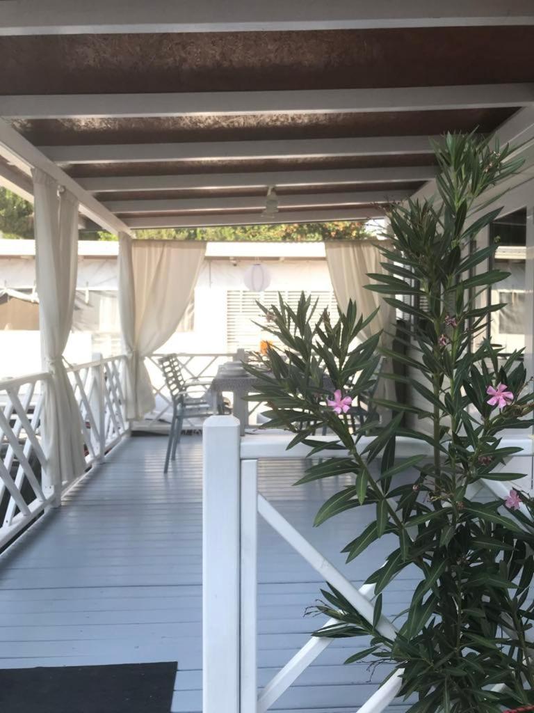Apartman As Pirovac Zewnętrze zdjęcie